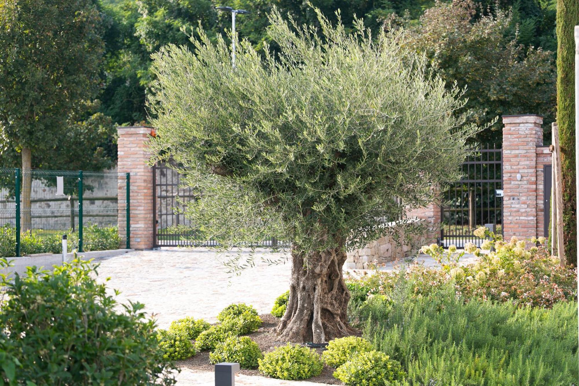 אפרטהוטל אבנו טרמה Casa Massaro Todeschini מראה חיצוני תמונה